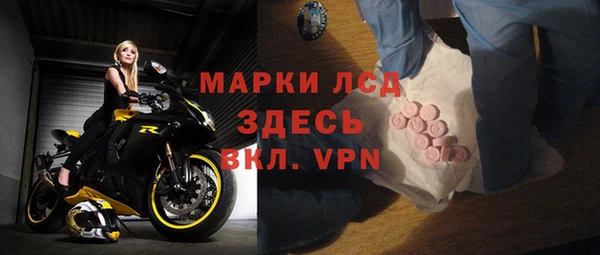 ECSTASY Белокуриха