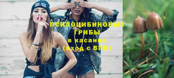 ECSTASY Белокуриха