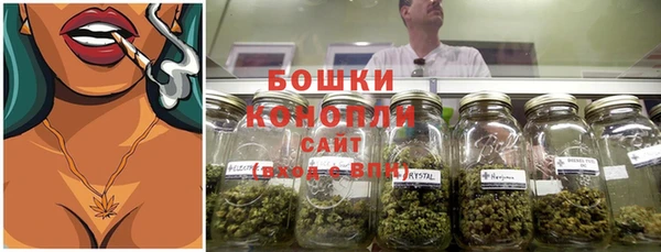 ECSTASY Белокуриха