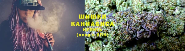 ECSTASY Белокуриха
